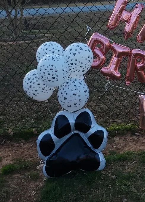 Воздушные шары с изображением лап собаки щенка воздушные принтом | Дом и сад