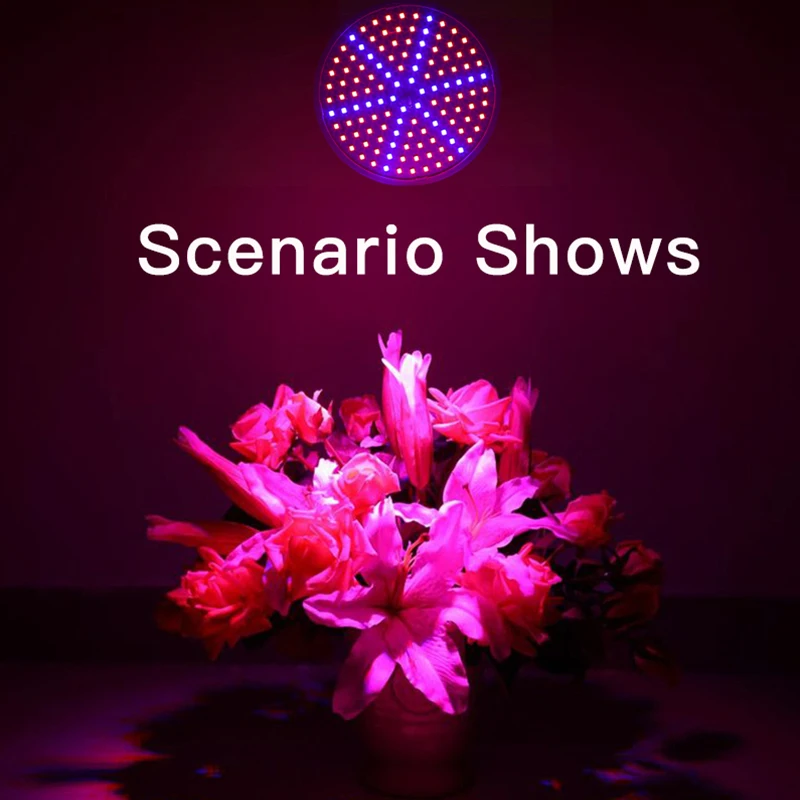 Рисунок 6 - Лампа светодиодная полного спектра