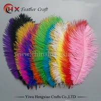 10pcslot 10 12 inches fluffy soft ostrich feathers pure white feather for craft ostrich plumes wedding party decoration 25 30cm
