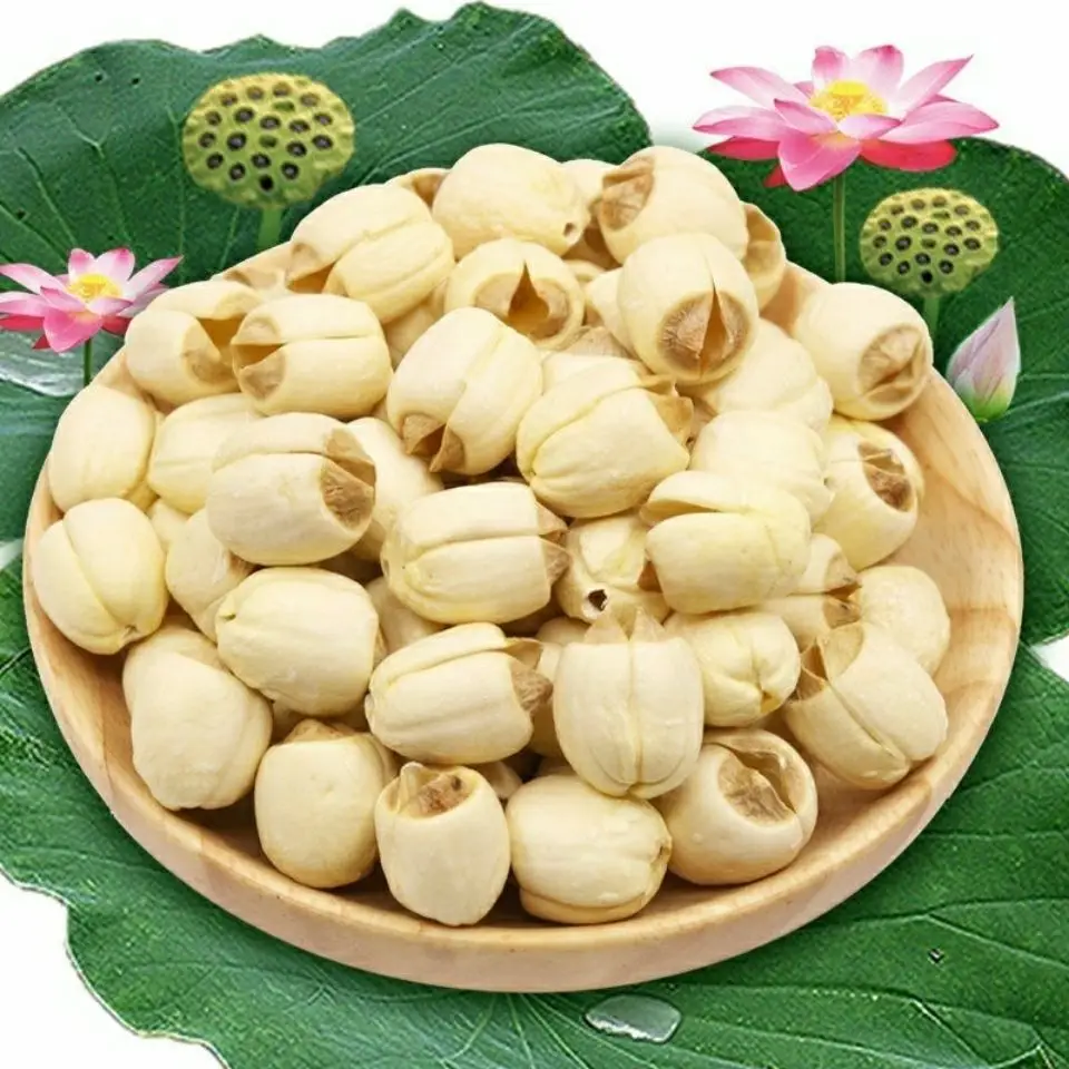 

Семена лотоса, семена белого лотоса, семена лотоса, продукты для фермы