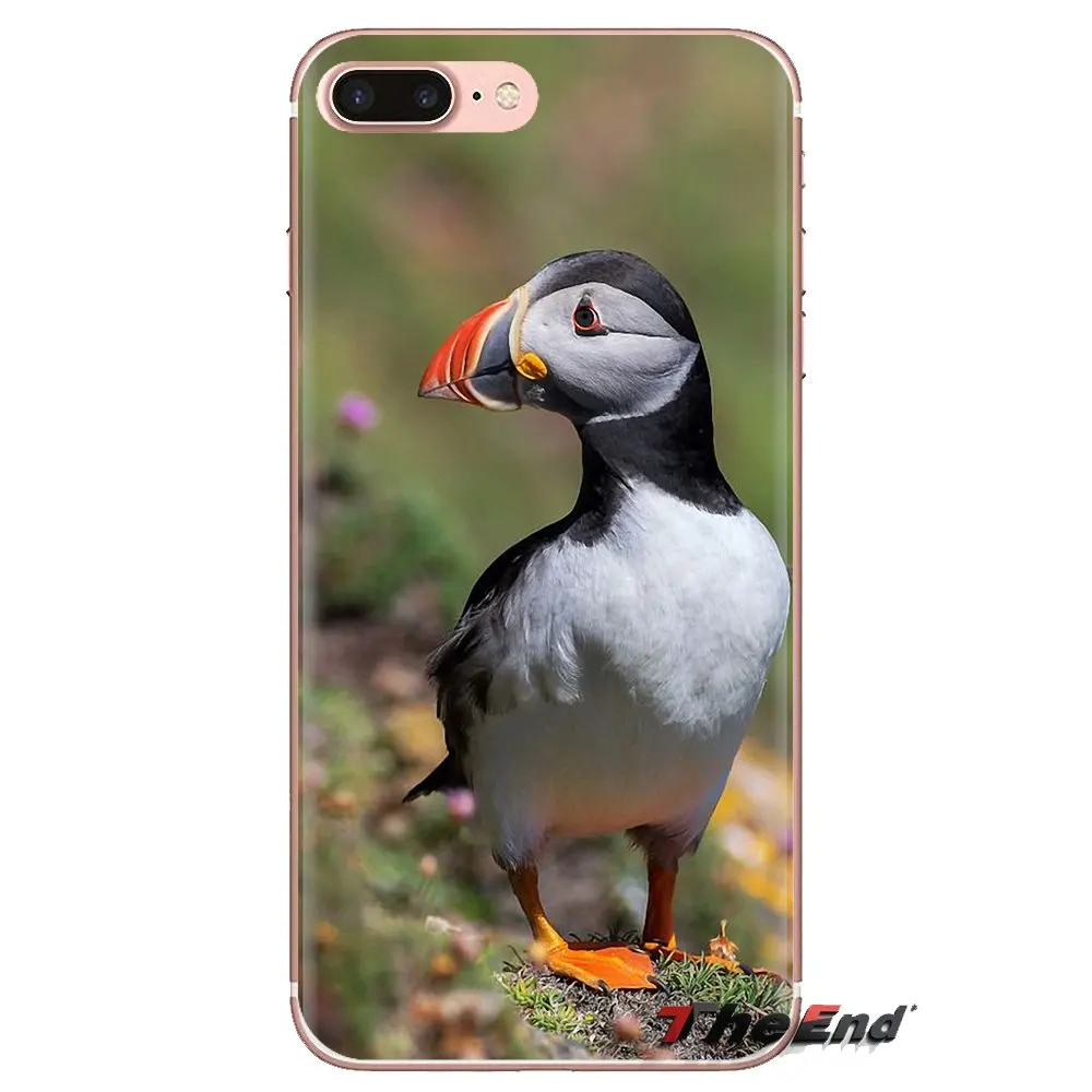 Чехол из ТПУ для iPhone XS Max XR X 4 4s 5 5S 5C SE 6 6S 7 8 Plus samsung Galaxy J1 J3 J5 J7 A3 A5 с изображением