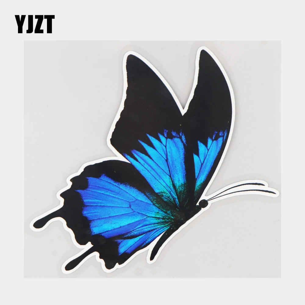 

YJZT 15.8×13.9CM Blue Black Butterfly Animal Vinyl Decals Waterproof Scratch Cover Decoration Car Stickers 21A-0406