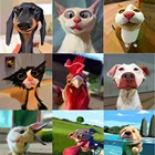 5D DIY алмазная живопись в виде кошек и собак, рисунок с животными, новые туфли с квадратнымикруглая мозаичная Вышивка крестом Алмазная картина с Стразы