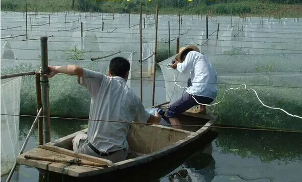 Рыболовная сеть в клетке для аквакультуры рыболовная ловли рыбы клетка угрей
