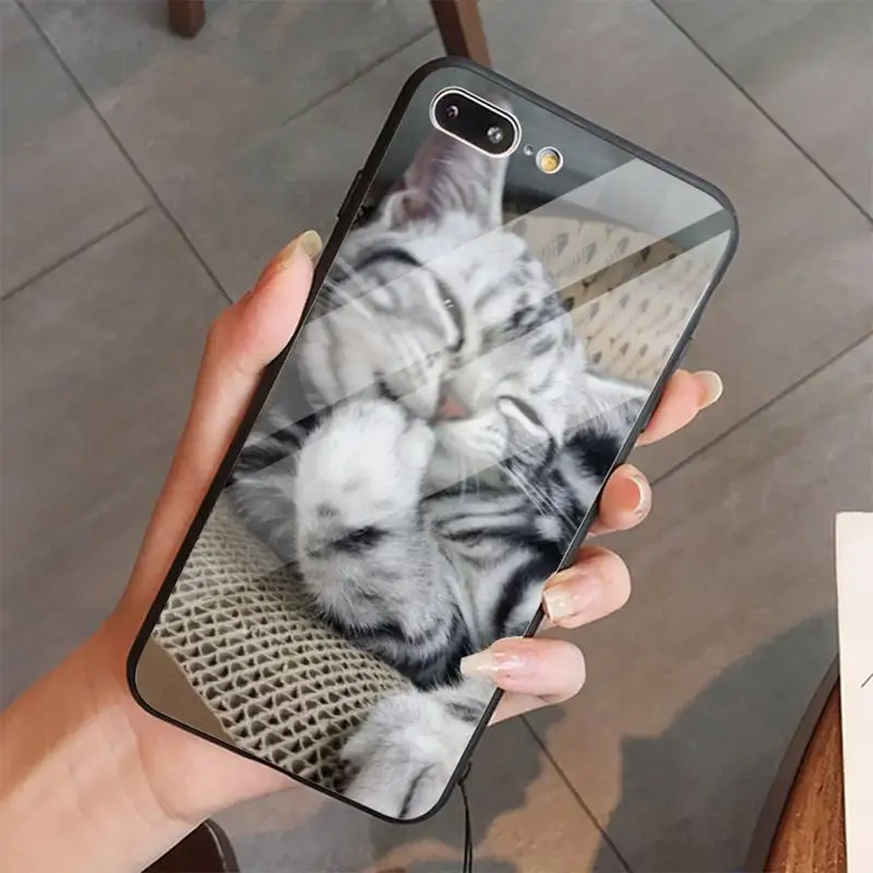

Cute Animal Cat shell Phone Case Tempered glass For iphone 5C 6 6S 7 8 plus X XS XR 11 PRO MAX