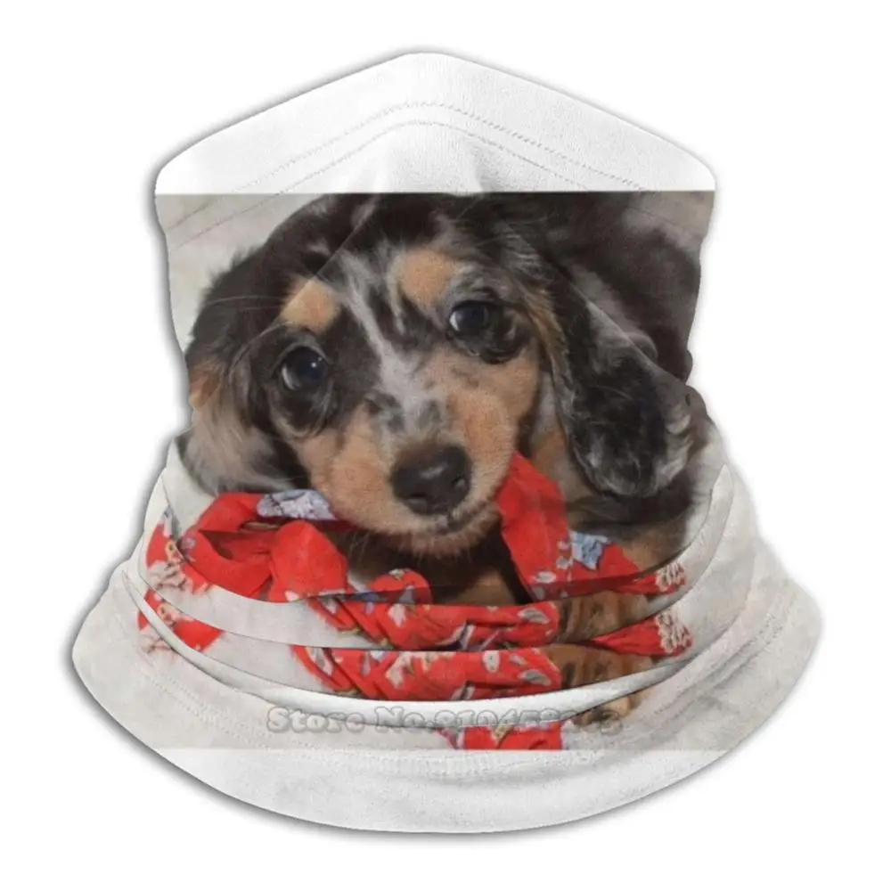 

Супермилая 3D бандана для щенка, обогреватель для лица и шеи, мягкая флисовая маска, спортивный шарф, очаровательный шарф для собаки и щенка, ...