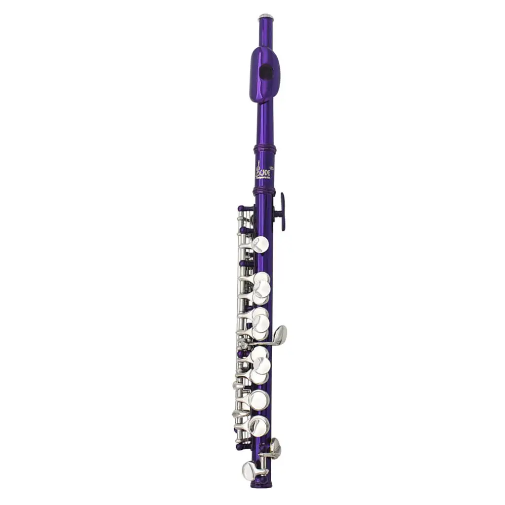

Professional Cupronickel C Key Piccolo Half-size Flute With Storage Case