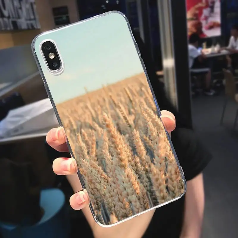

Fashion Raw material for bread wheat Phone Case Transparent soft For iphone 5 5s 5c se 6 6s 7 8 11 12 plus mini x xs xr pro max