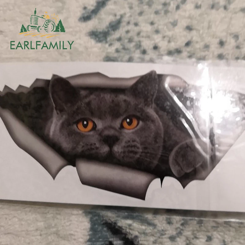 EARLFAMILY 15 см x 6 см Британский короткошерстный Забавный автомобильный стикер кот серый Кот Наклейка Водонепроницаемый 3D автомобильный Стайлинг стикер s украшение