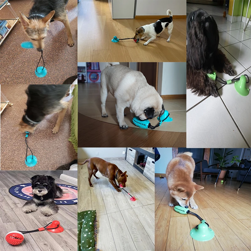 

Dog Toy Silicon Suction Cup Toys for Medium Dogs Tug Push Ball Biting Tooth Cleaning Toothbrush for Feed Food Dogs Toy Wholesale