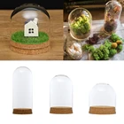 Прозрачное стекло, купольная крышка, колокольчик, сочные террариумы с деревянная пробка для домашнего офиса, декор стола сделай сам