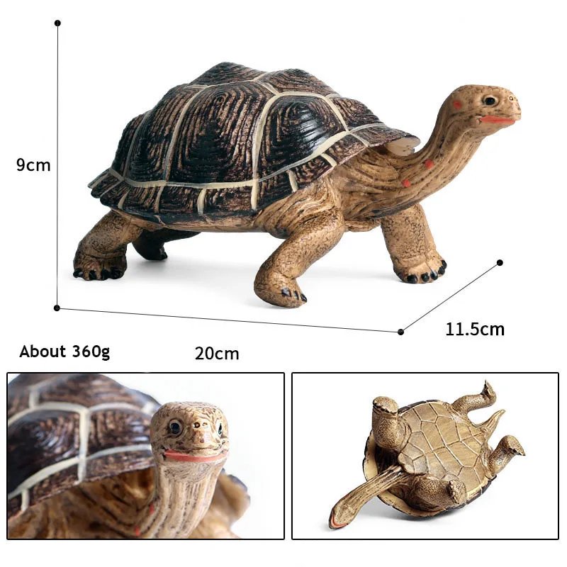 

New Styles Original Wild Animals Geochelone Model Action Figurines Miniature Collection Toy For Kids