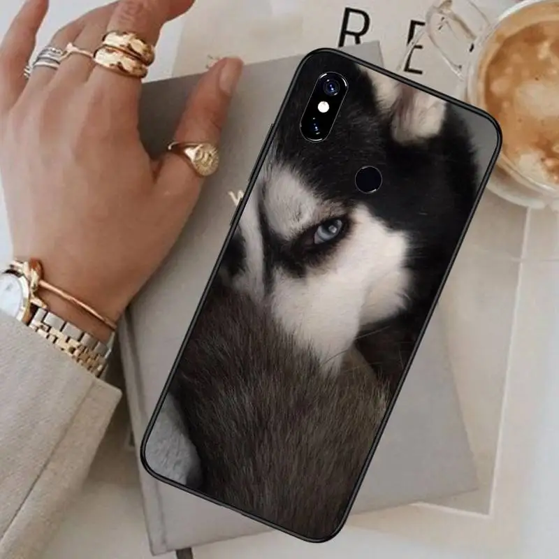 

Cute animal dog husky Phone Case For Xiaomi Redmi note 7 8 9 t max3 s 10 pro lite funda coque shell cover