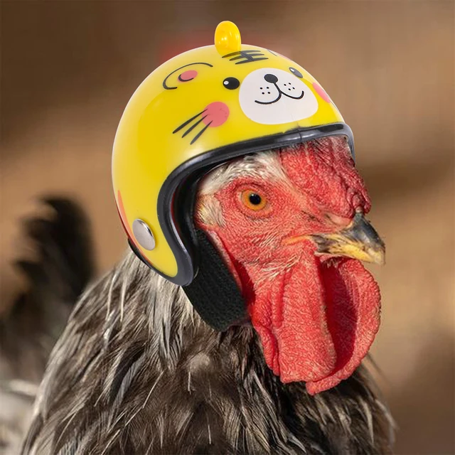 1Pc Chicken Helmet Small Pet Hard Hat Bird Quail Pigeon Hat Headgear Pet Bird Helmet DIY Cartoon Character Helmet Pet Supplies 5
