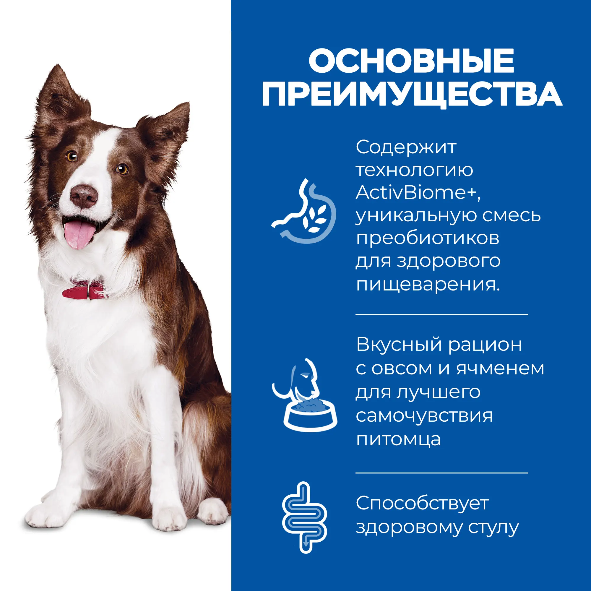 Сухой корм Hill's Science Plan Perfect Digestion для взрослых собак средних пород поддержание