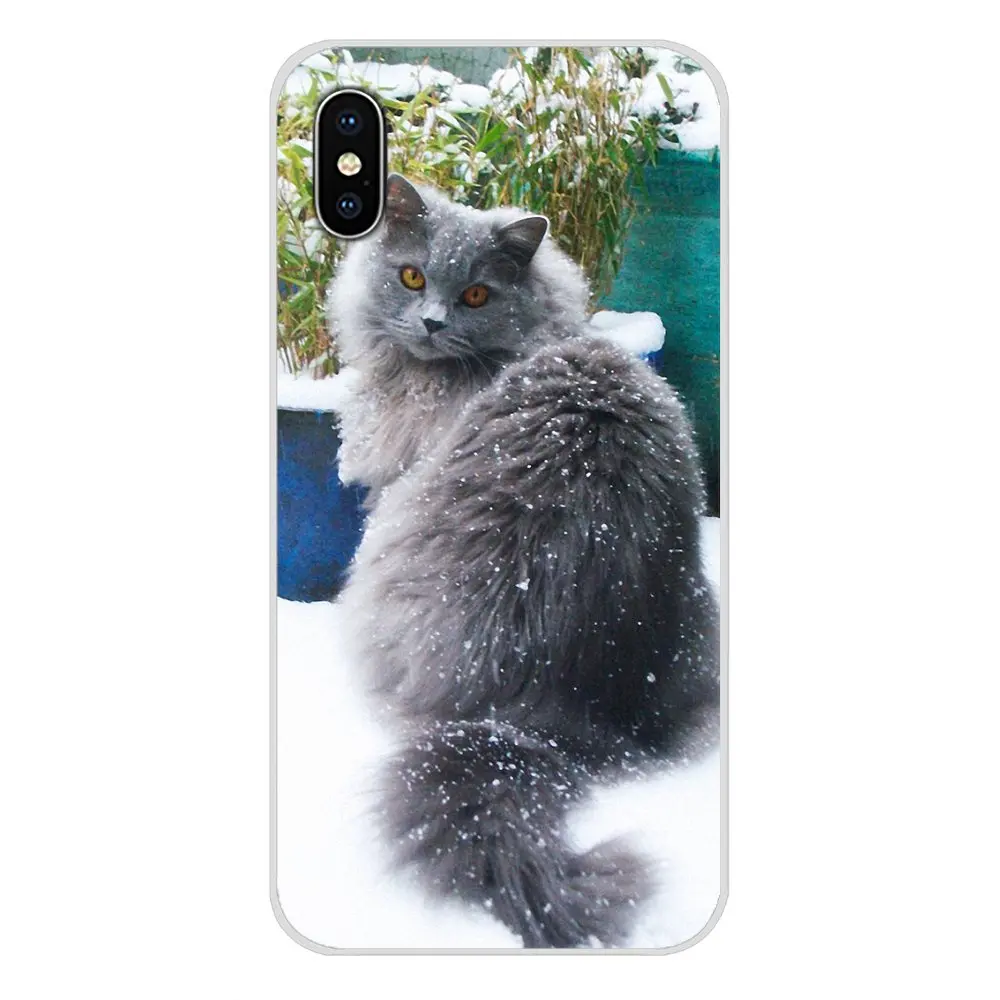 Прозрачные мягкие чехлы для серых кошек с милыми животными sony Xperia Z Z1 Z2 Z3 Z5 compact M2 M4