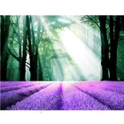 Алмазная 5d картина с лавандой, цветами, солнечным светом, полноразмерная, квадратная, круглая, алмазная вышивка, стразы, декор FF3385