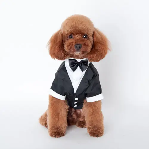 

Pet Winter Formal Suit Dress Dog Bow Tie Big Suit Short-Sleeved Cute Jacket Suit
