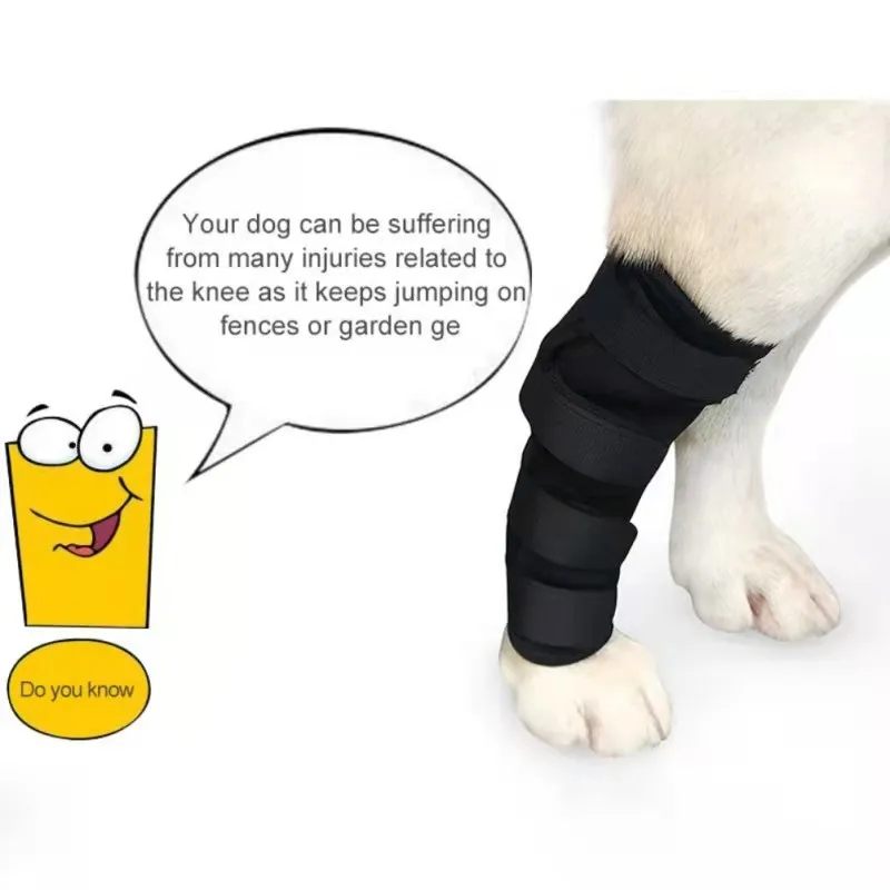 

Dog knee joint support injury leg support operation joint wrapping dog wound treatment dog arthritis surgery recovery