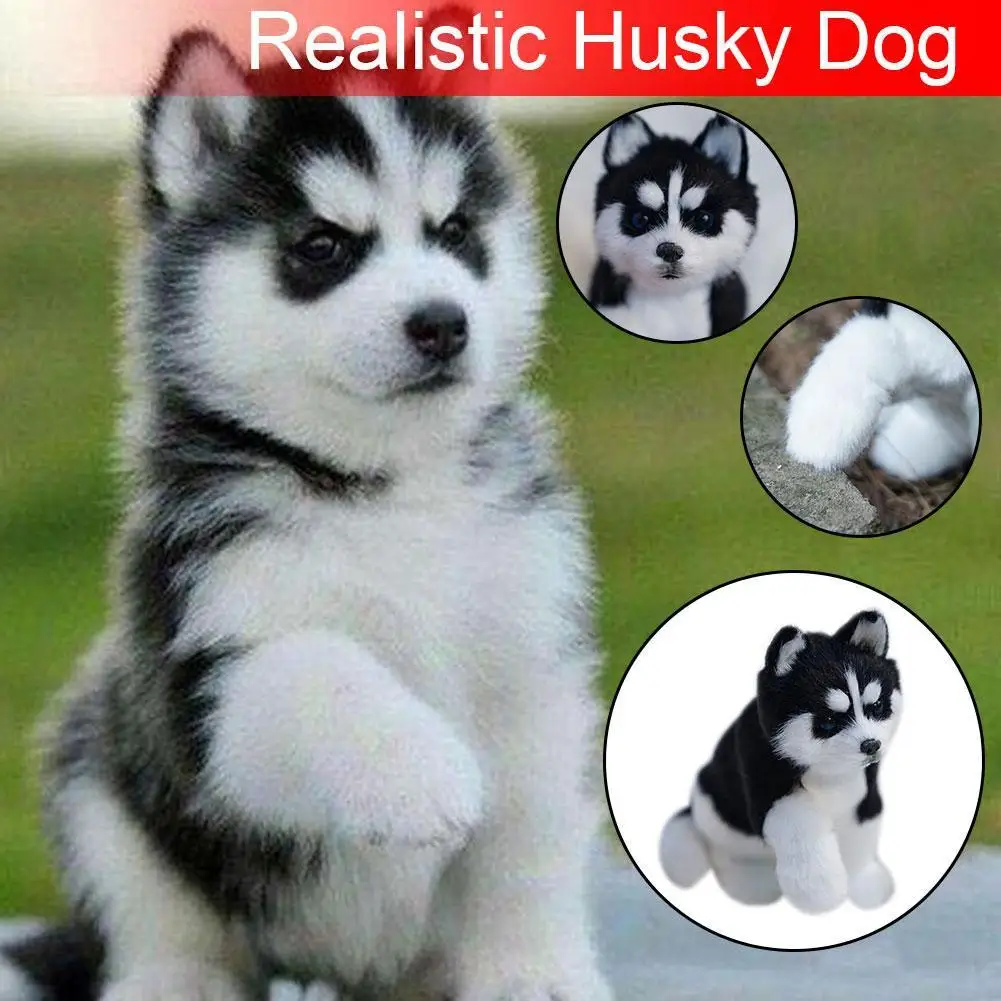 

Realistic Husky Dog Simulation Toy Dog Puppy Lifelike Stuffed Companion Toy Pet Dog Handcrafted