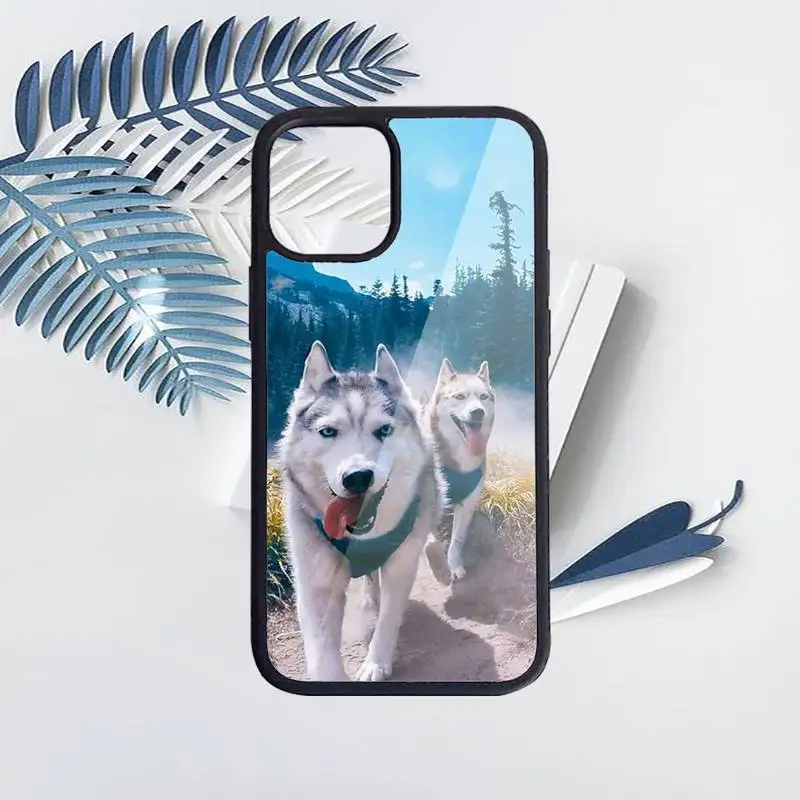 

husky cute funny dog animal Phone Case PC for iPhone 11 12 pro XS MAX 8 7 6 6S Plus X 5S SE 2020 XR luxury brand shell