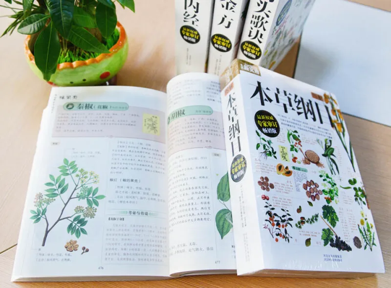 Новый графический Компендиум материала медицинский Традиционный китайский