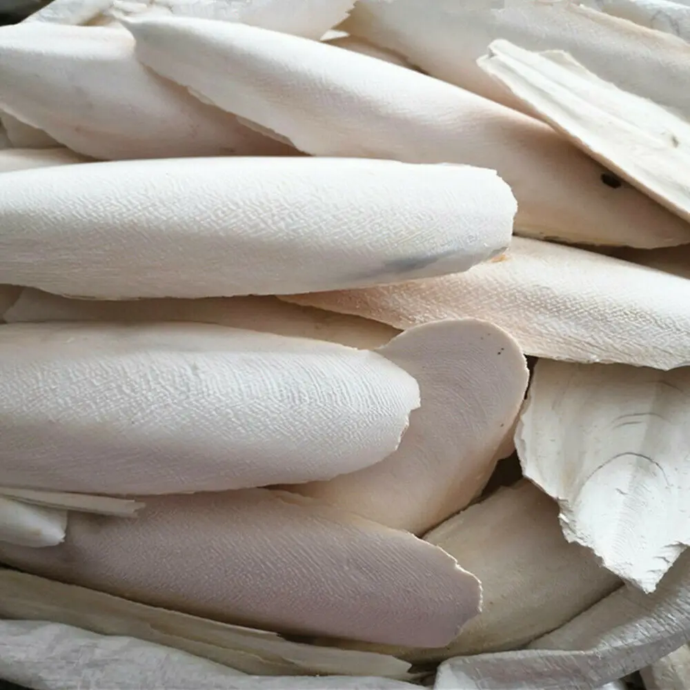 

20pcs Natural Cuttlefish Bone 10-12cm Bones Suitable For Birds Tortoise Snails Pet Supplies Wholesale GPD1056
