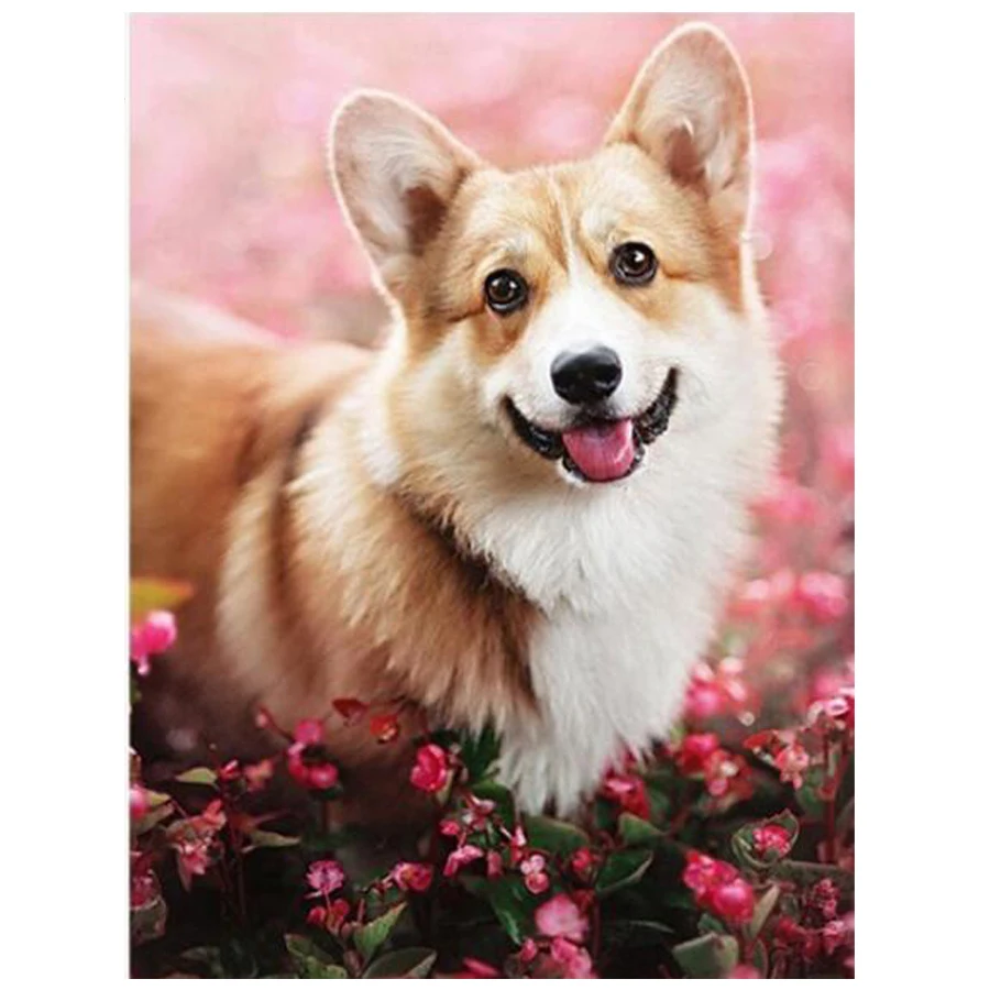 DIY Изображение щенка Алмазная вышивка полная алмазная живопись валлийский корги