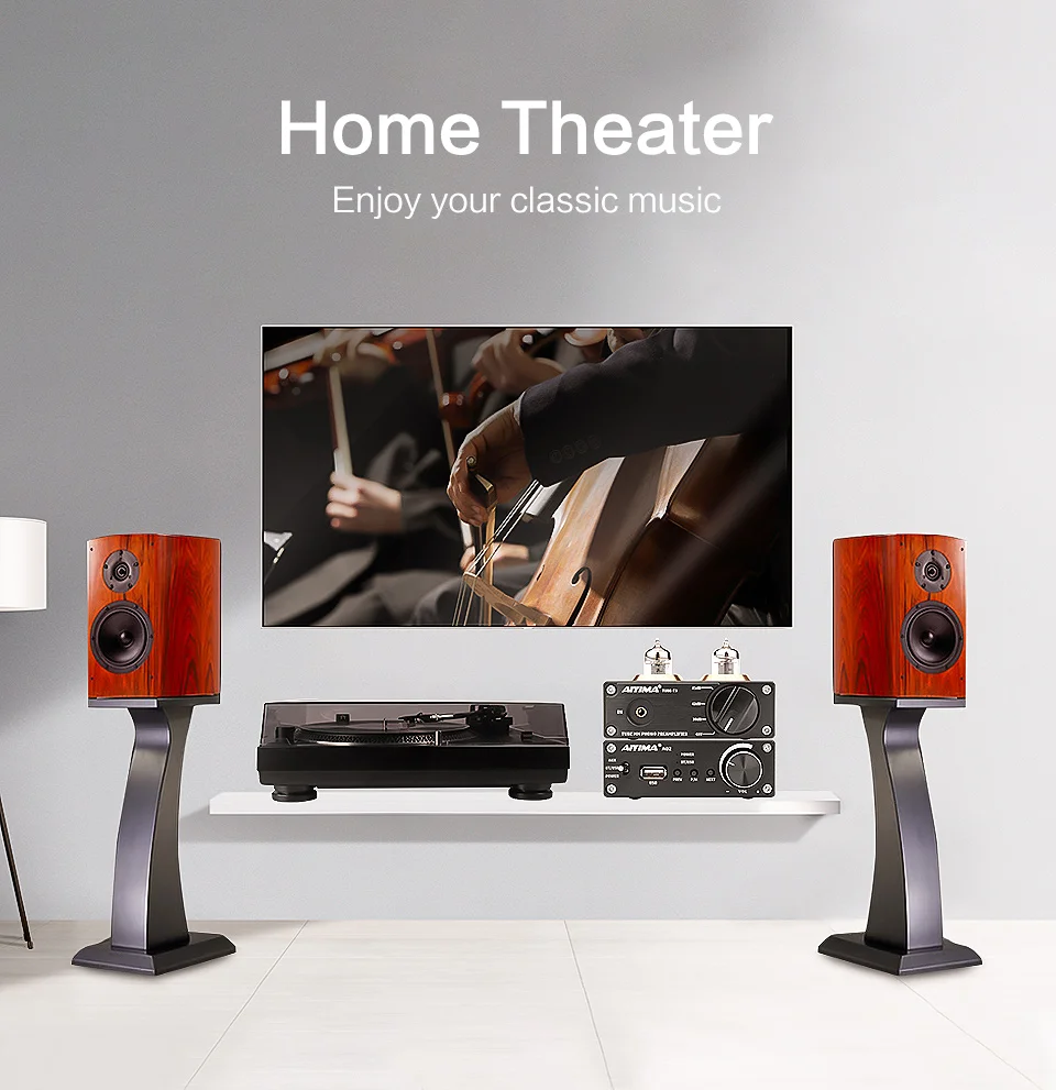 AIYIMA HIFI TPA3116 Bluetooth 5,0 усилитель мощности стерео цифровой слуховой аппарат 50 Вт* 2 AUX домашний кинотеатр Усилители звука Amp