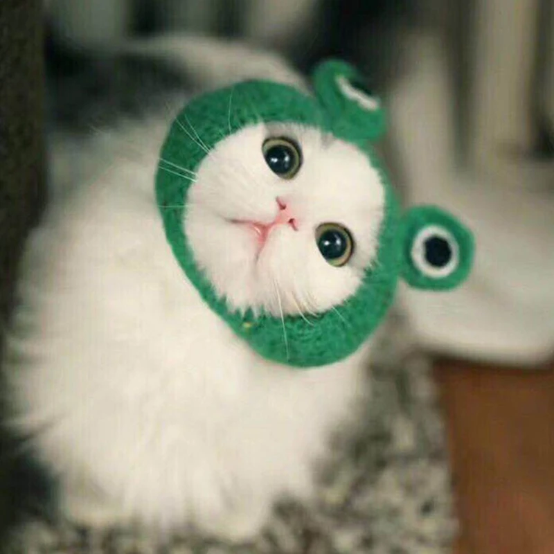 Головной убор для домашних питомцев ручной вязки шляпа кошек и лягушек головной