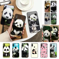 panda cute animal phone case back cover for xiaomi redmi note 7 5 8a note8pro 9pro 8t tpu coque for redmi9 capa