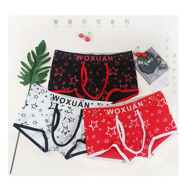 Wholesale Men's Boxer Shorts Sexy Printed Underwear Lingerie 6pcs/pack Mens Penis Pouch Boxers Trunks Soft Underwear M-XXL