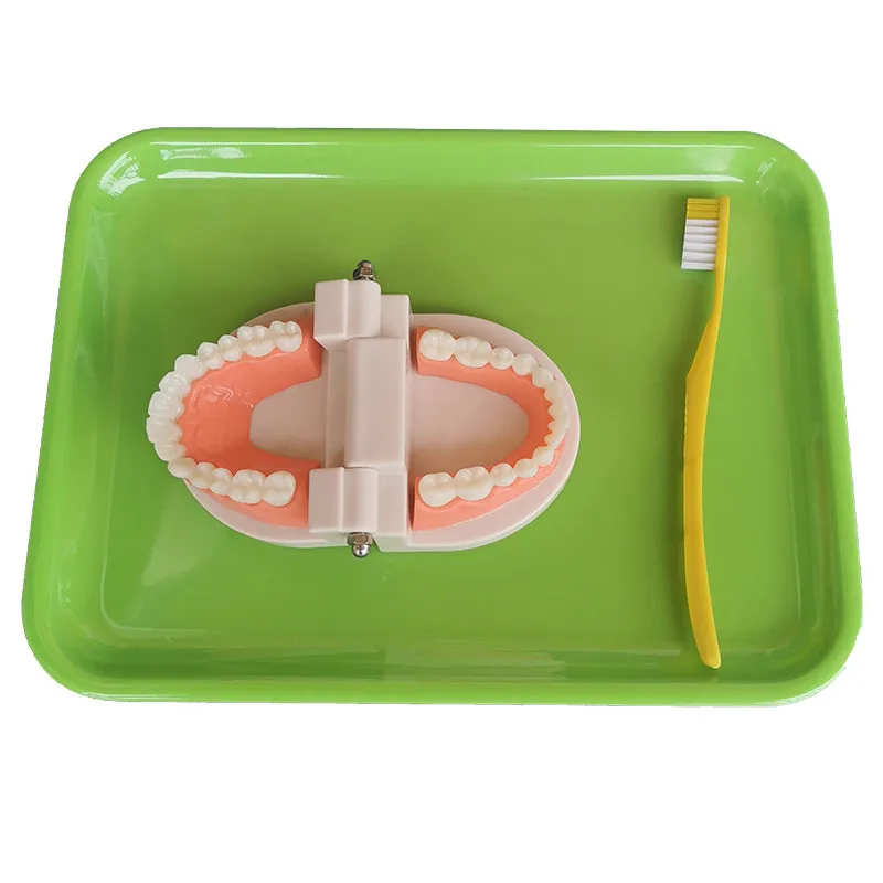 Монтессори малыша зубная игрушка практичный жизнь смоделированные Материал