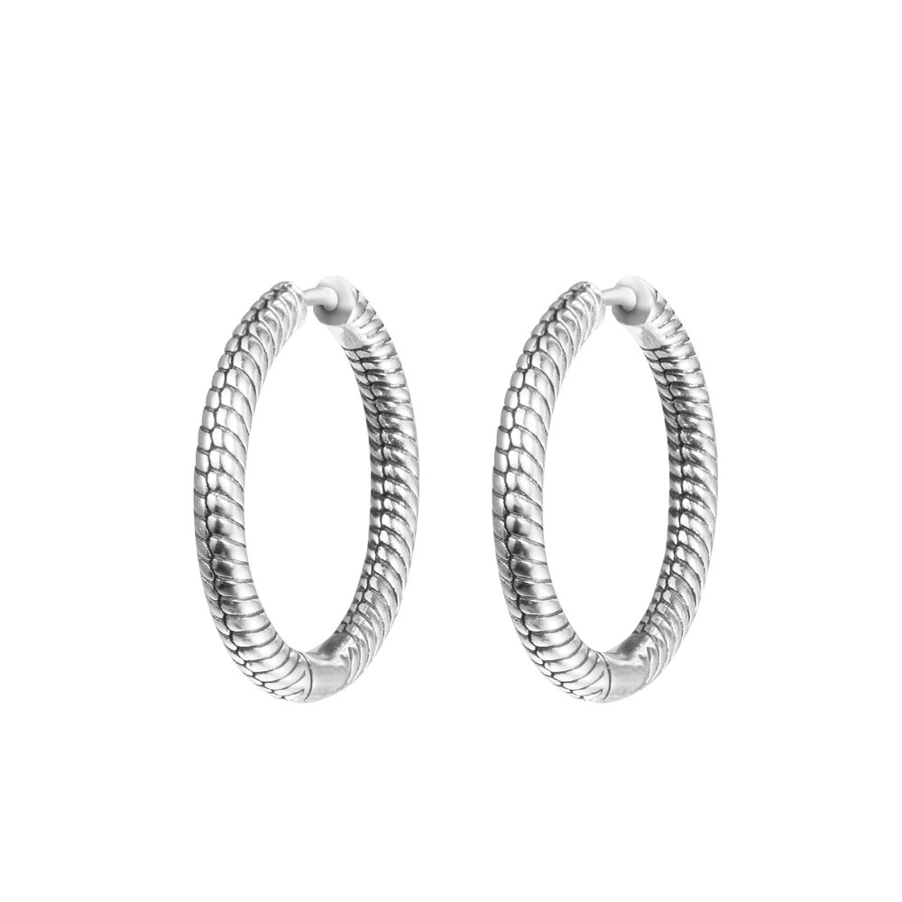 

Moments Charm Hoop Earrings for Women Genuine 925 Sterling Silver Jewelry Wedding Party Gift Argent Earring Brincos Wholesale