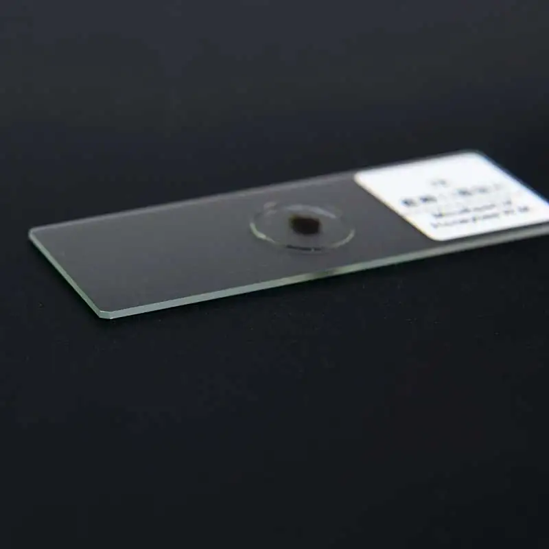 Лабораторные образцы насекомых 200 шт. в пластиковой коробке|microscope slides|science