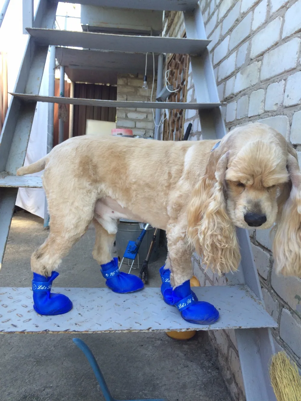 Новая милая собака сапоги Водонепроницаемый защитный резиновый силиконовый