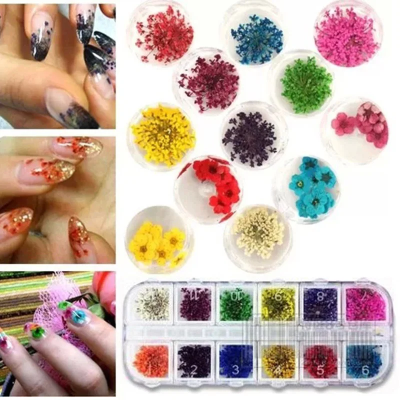 

1 Set Nail Art Decoration Dried Flower DIY Manicure Accessories for Women Lady STTX889