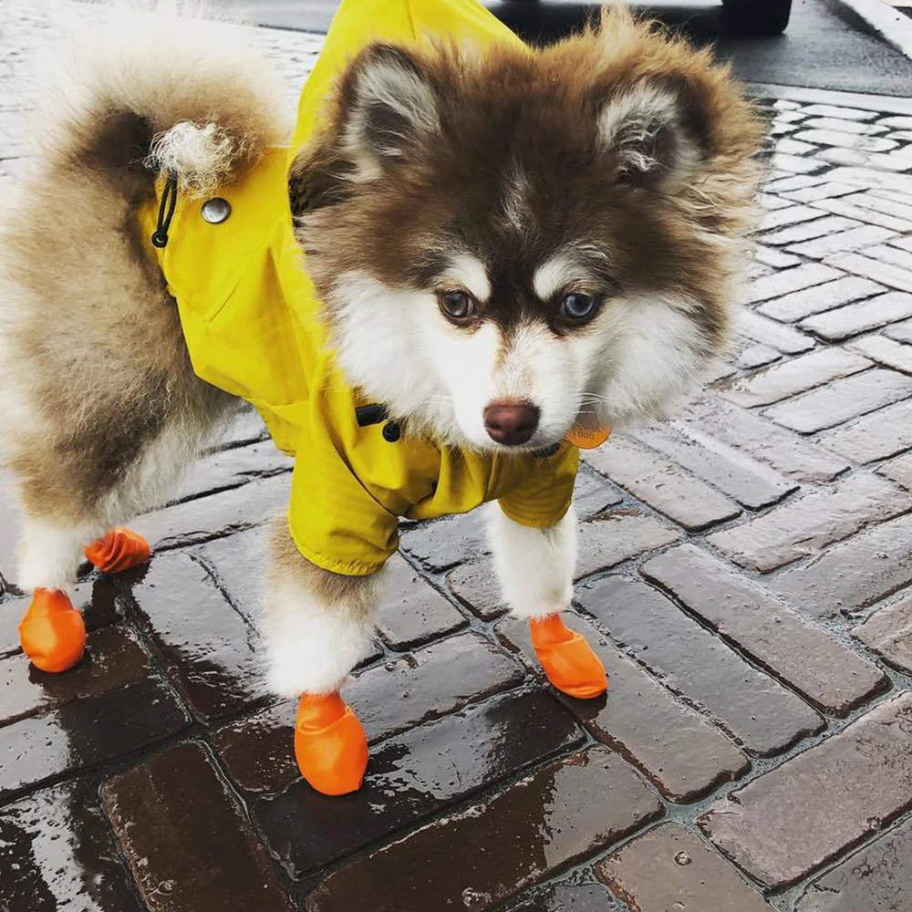 

Dog Raincoat Fashion Waterproof Jacket for Pet Clothes for Small Medium Large Dogs Pet British Thick Clothing
