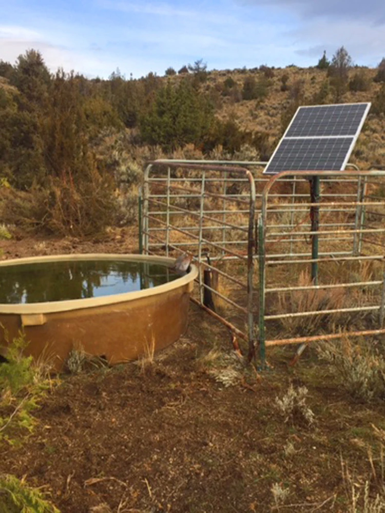 5 лет гарантии Солнечный водяной комплект dc погружной насос 24В Бесплатная