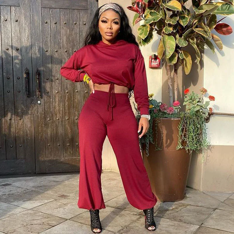 

Trendy Streetwear Two Piece Set Women Co Ord Long Sleeve Hooded Crop Top and Cargo Pant Sets Casual Jogger Matching Sets Outfits