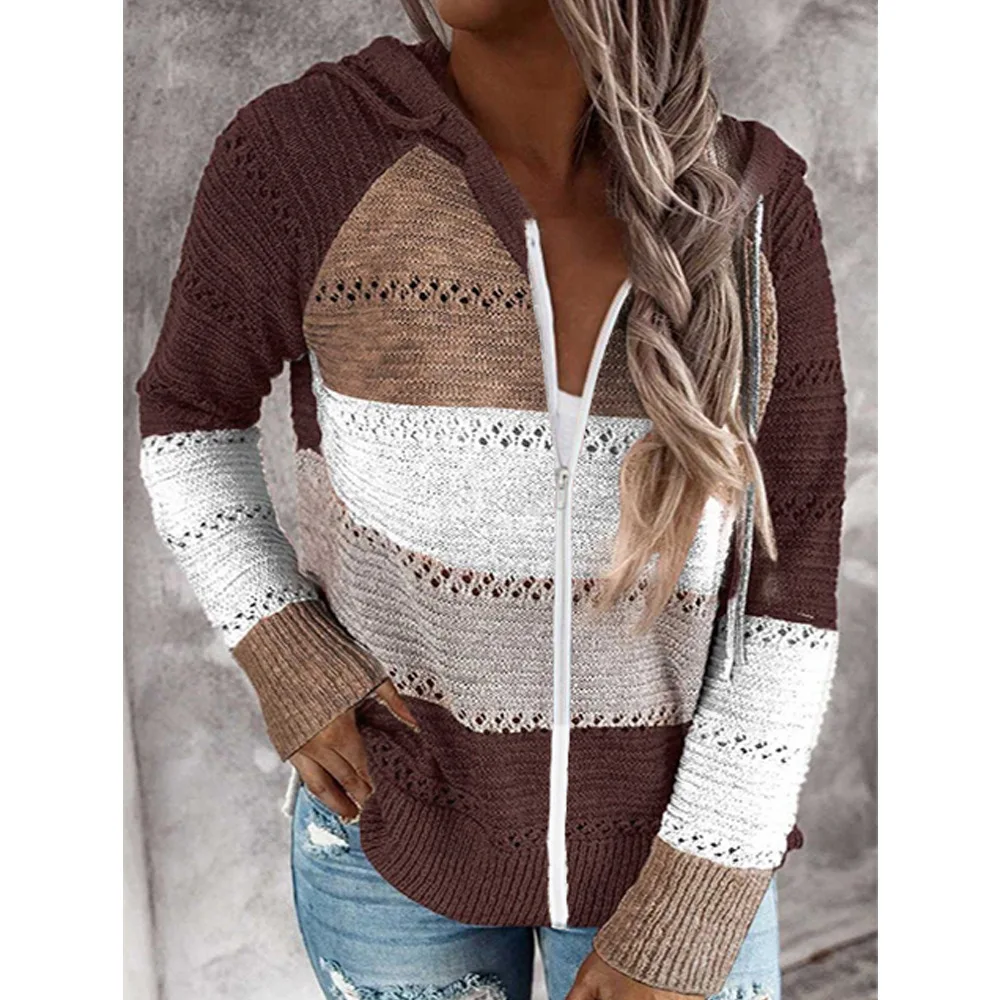 Осень/Зима 2020 новый женский свитер на молнии с капюшоном и длинными рукавами