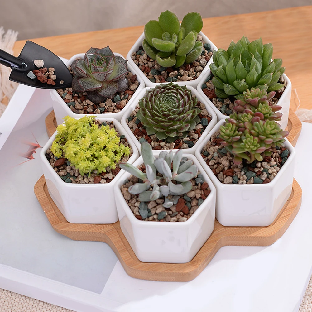 

Mini Succulent Plant Pot White Ceramic Succulent Cactus Flower Pot and Bamboo Tray (plant not included)