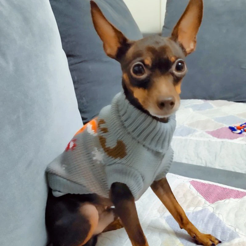 

Christmas Cat Dog Sweater clothes Pullover Winter Pet Costume Small Dogs Chihuahua Sphynx Puppy Mascotas Clothing ubranka dla