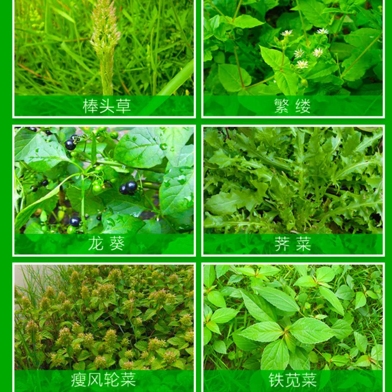 10pcs ammonium glyphosate glycine herbicide remove broadleaf grass killspesticide directional stem and Weedkiller leaf | Дом и сад