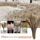 Сушеная пампасная трава, декор для свадьбы, цветок, натуральные растения для фотографий, 30 шт., бесплатная доставка, 2021
