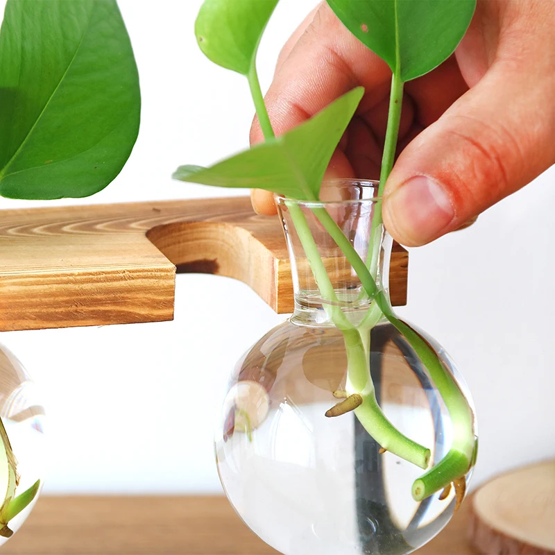 Гидропонная фотография Terrarium винтажный цветочный горшок прозрачная ваза