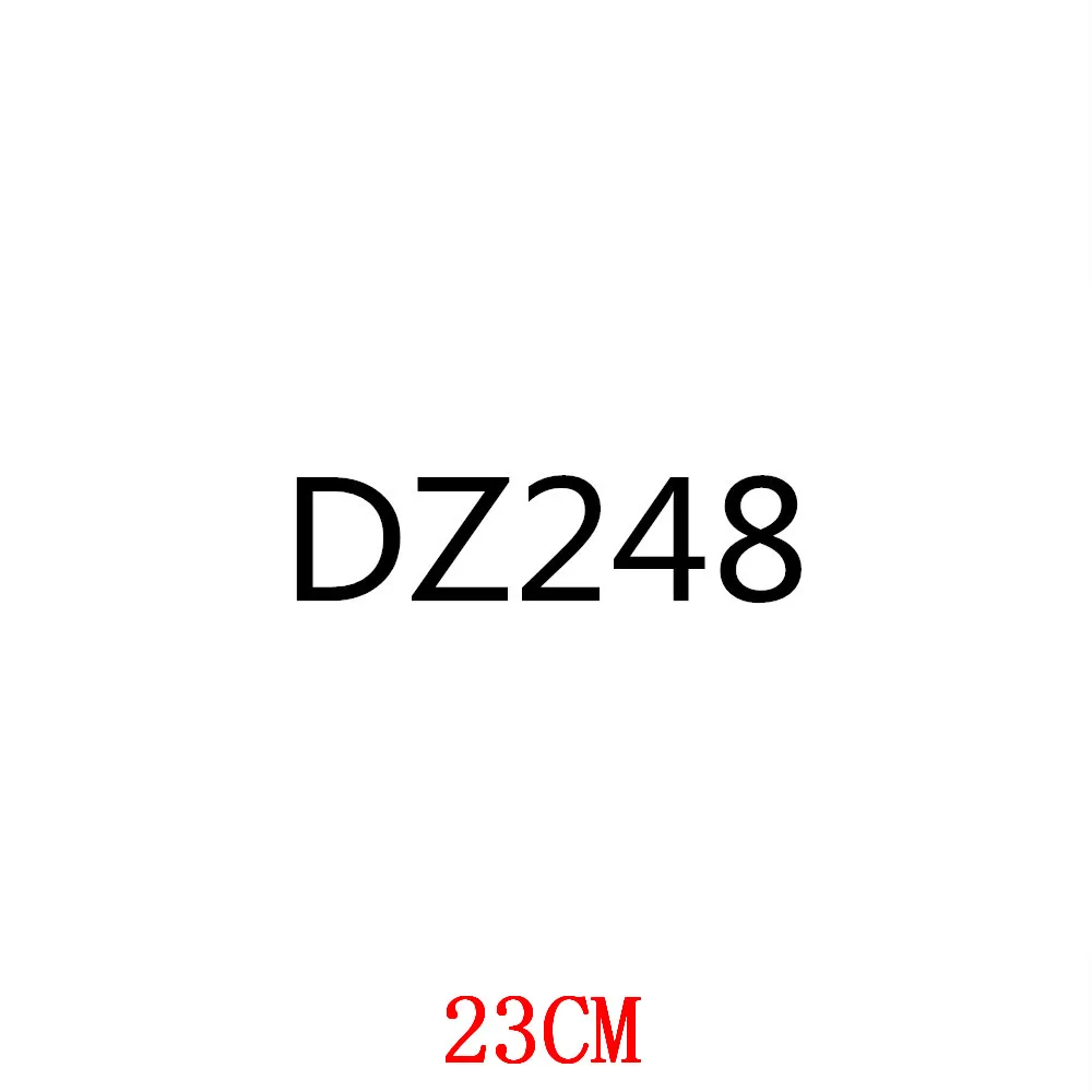 

DZ248-23
