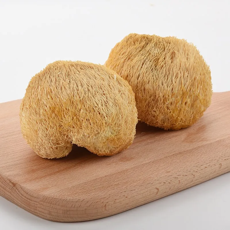 Экстракт гриба льва (Hericium erinaceus) 40: 1 снижает уровень холестерина повышает