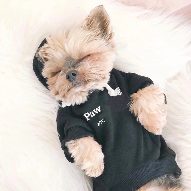 С принтом букв летние толстовки с рисунком пуделя для женщин свитер чихуахуа