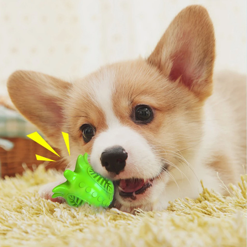 

Dog Squeaky Toys Durable Breed Chew Toys Funny Pet Toothbrush Playing Ball
